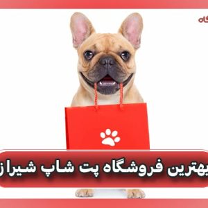بهترین فروشگاه پت شاپ شیراز