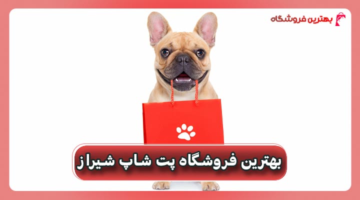 بهترین فروشگاه پت شاپ شیراز